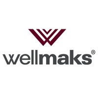 ХК Wellmaks