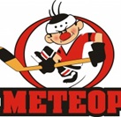 Метеор (Голицыно)